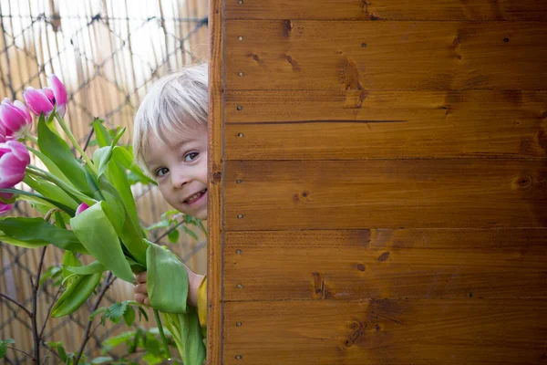 Kind Junge Mit Rosa Tulpen Dahinter Versteckt Muttertagsgeschenkkonzept — Stockfoto