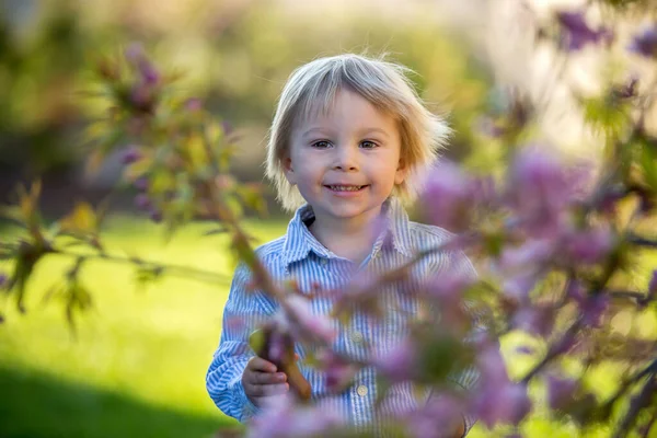 Mały Chłopczyk Jedzący Czekoladowego Króliczka Ogrodzie Zachodzie Słońca Jajka Wielkanocne — Zdjęcie stockowe