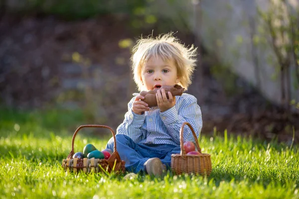 Маленький Хлопчик Їсть Шоколадного Кролика Саду Заході Сонця Величні Яйця — стокове фото