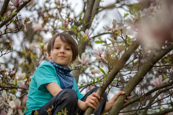 Child Boy Spring Park Blooming Magnolia Trees Sunset — Stock Photo, Image