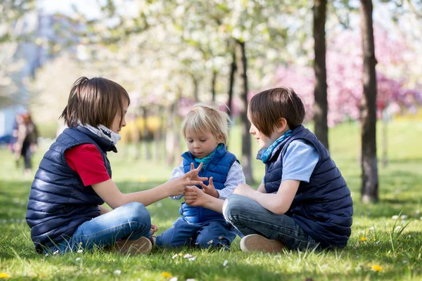 Трое Детей Мальчики Братья Играют Бумажную Игру Ножницами Цветущем Парке — стоковое фото