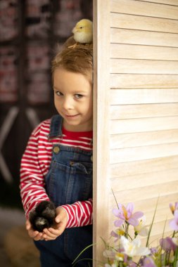 Yeni doğmuş yavrularla evde sevimli bir çocuk, güneşli bir odada eğleniyor, sevimli bir çocuk ve hayvan arkadaşı.
