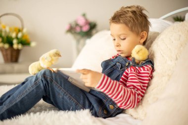 Yeni doğmuş yavrularla evde sevimli bir çocuk, güneşli bir odada eğleniyor, sevimli bir çocuk ve hayvan arkadaşı.