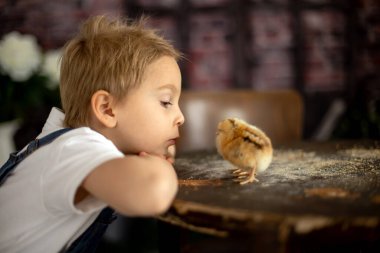 Yeni doğmuş yavrularla evde sevimli bir çocuk, güneşli bir odada eğleniyor, sevimli bir çocuk ve hayvan arkadaşı.