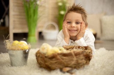 Yeni doğmuş yavrularla evde sevimli bir çocuk, güneşli bir odada eğleniyor, sevimli bir çocuk ve hayvan arkadaşı.