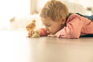 Yeni doğmuş yavrularla evde sevimli bir çocuk, güneşli bir odada eğleniyor, sevimli bir çocuk ve hayvan arkadaşı.