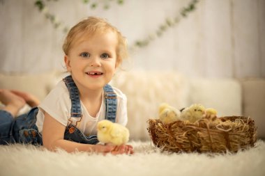 Yeni doğmuş yavrularla evde sevimli bir çocuk, güneşli bir odada eğleniyor, sevimli bir çocuk ve hayvan arkadaşı.