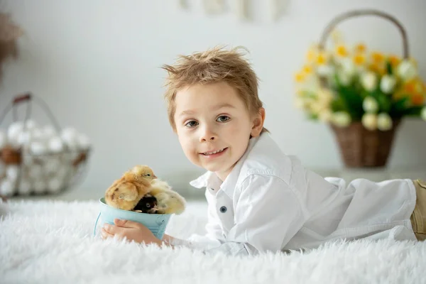 Söta Barn Hemma Med Små Nyfödda Kycklingar Njuter Söt Unge — Stockfoto