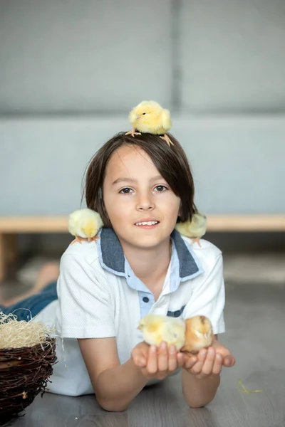 Enfant Mignon Maison Avec Des Petits Poussins Nouveau Nés Appréciant — Photo