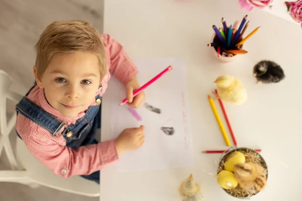 かわいい男の子 赤いシャツの子供 母の日のための絵 テーブルの上の小さな雛演奏 — ストック写真