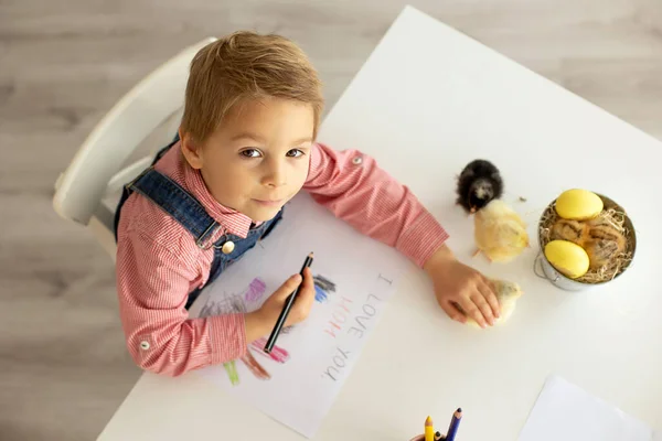 Lindo Chico Niño Con Camisa Roja Dibujo Para Día Las — Foto de Stock