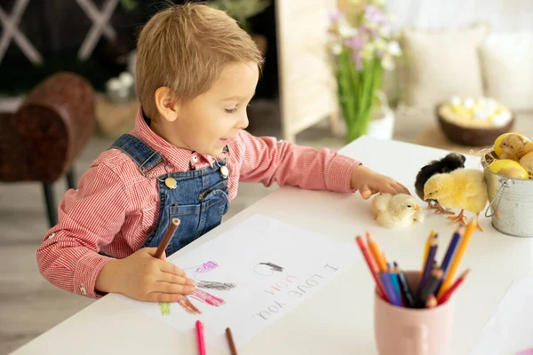 かわいい男の子 赤いシャツの子供 母の日のための絵 テーブルの上の小さな雛演奏 — ストック写真