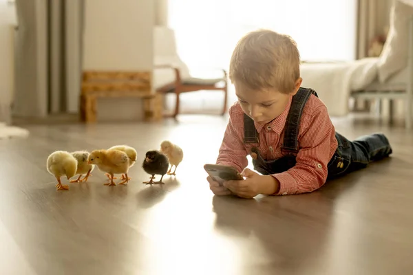 可爱的孩子和新生的小鸡呆在家里 在阳光灿烂的房间里享受着 可爱的孩子和动物朋友 — 图库照片
