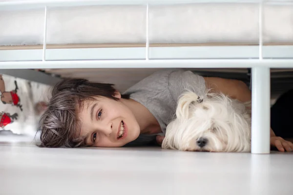 Barn Och Maltesiska Hund Gömmer Sig Sängen Hemma — Stockfoto