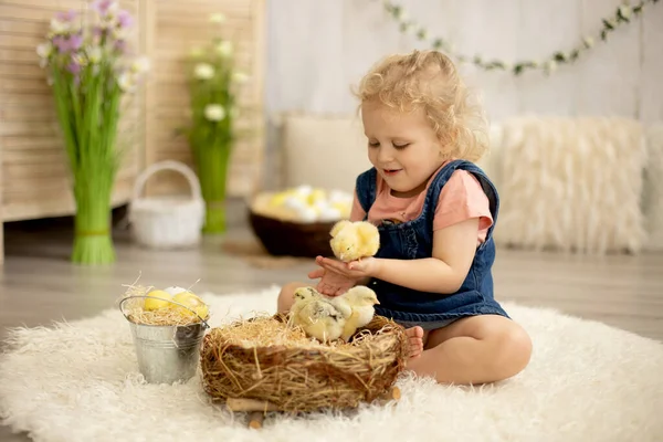 Cute Child Home Little Newborn Chicks Enjoying Cute Kid Animal — Photo