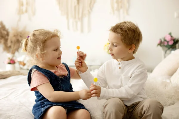 Cute Toddler Children Boy Girl Eating Lolly Pop Home Enjoying — Zdjęcie stockowe