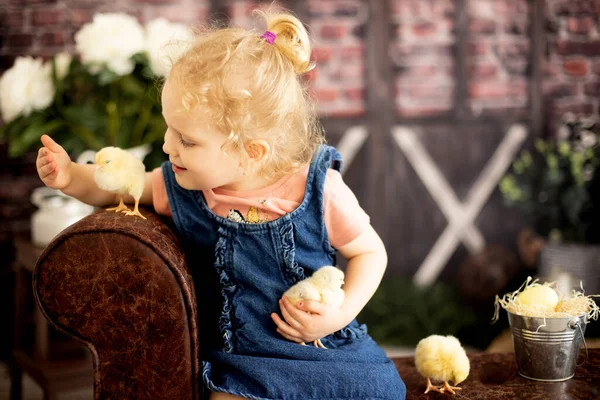 Cute Child Home Little Newborn Chicks Enjoying Cute Kid Animal —  Fotos de Stock