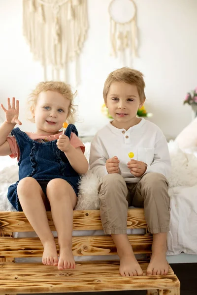 Cute Toddler Children Boy Girl Eating Lolly Pop Home Enjoying — Stok fotoğraf