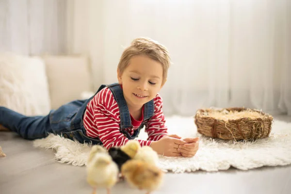 Söta Barn Hemma Med Små Nyfödda Kycklingar Njuter Söt Unge — Stockfoto