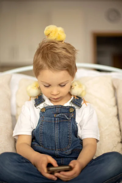 Cute Child Home Little Newborn Chicks Playing Mobile Phone Cute — ストック写真