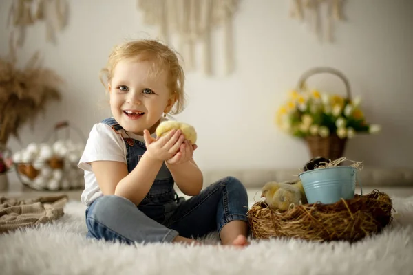 Lindo Niño Casa Con Pequeños Polluelos Recién Nacidos Disfrutando Lindo —  Fotos de Stock