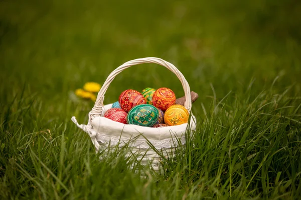 Cute Preschool Child Whipping His Sister Easter Twig Braided Whip — Foto Stock