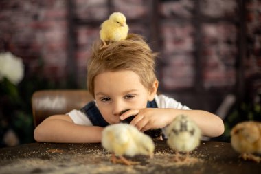 Yeni doğmuş yavrularla evde sevimli bir çocuk, güneşli bir odada eğleniyor, sevimli bir çocuk ve hayvan arkadaşı.