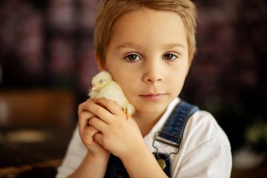 Yeni doğmuş yavrularla evde sevimli bir çocuk, güneşli bir odada eğleniyor, sevimli bir çocuk ve hayvan arkadaşı.