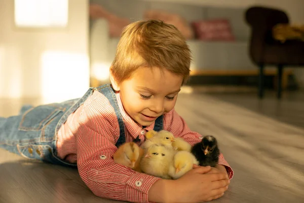 Yeni doğmuş yavrularla evde sevimli bir çocuk, güneşli bir odada eğleniyor, sevimli bir çocuk ve hayvan arkadaşı.