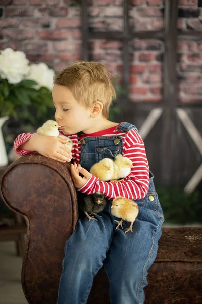 Yeni doğmuş yavrularla evde sevimli bir çocuk, güneşli bir odada eğleniyor, sevimli bir çocuk ve hayvan arkadaşı.