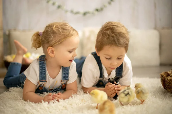 かわいい子供たち 男の子と女の子兄弟 自宅で小さな新生児の雛 楽しい かわいい子供と動物の友人で日当たりの良い部屋 — ストック写真