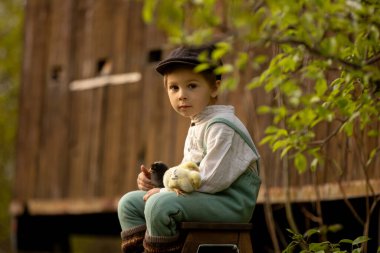 Güzel bir çocuk, klasik elbiseli bir çocuk bahçede, bahçedeki çiçek açan ağacın altında, gün batımında parkta küçük piliçlerle oynuyor.