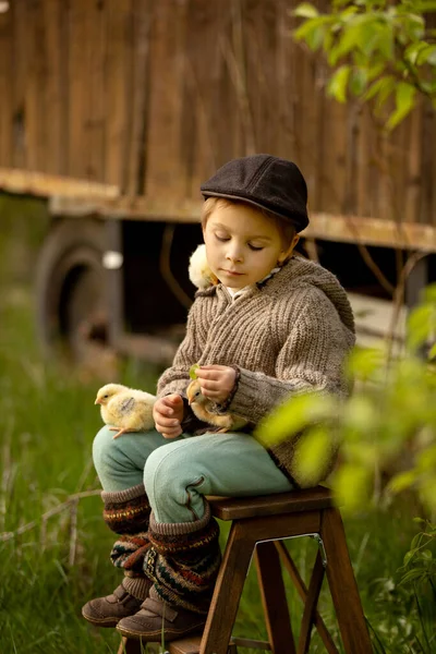Beautiful Toddler Boy Child Vintage Clothing Playing Little Chicks Park — Stock fotografie