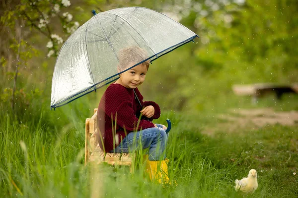 可爱的孩子 带着雨伞和小鸡 下着雨 坐在公园的小长椅上 — 图库照片