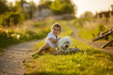 Mutlu bir grup çocuk ve evcil köpek, Malta cinsi, gün batımında parkta koşan, tasasız bir çocukluk