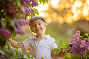 Havalı havalı çocuk, tatlı çocuk, günbatımında çiçek açan bahçede leylak çiçeklerinin tadını çıkarıyor.