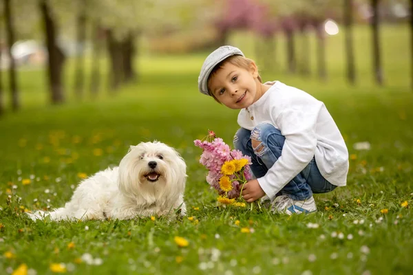 Çocuklu Güzel Bir Aile Anne Baba Çocuk Bir Köpek Parkta — Stok fotoğraf