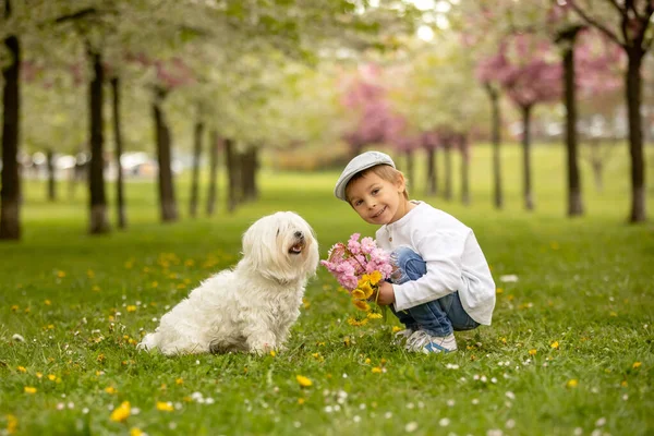 Hermosa Familia Con Niños Mamá Papá Tres Niños Perro Jugando —  Fotos de Stock