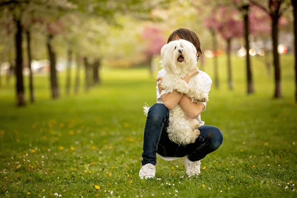 Hermosa Familia Con Niños Mamá Papá Tres Niños Perro Jugando —  Fotos de Stock