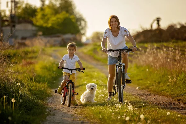 Симпатична Дитина Собакою Їзда Велосипеді Сільській Місцевості Заході Сонця Весна — стокове фото