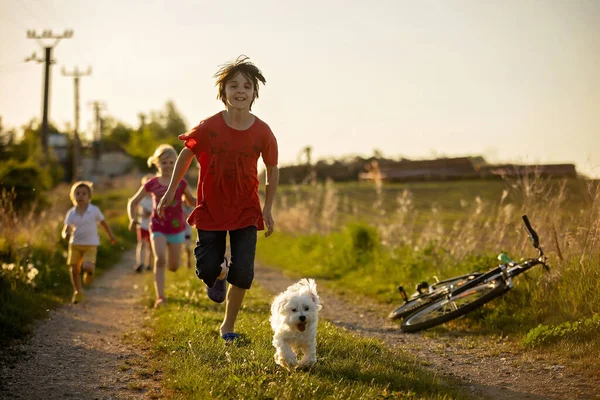 Happy Group Children Pet Dog Maltese Breed Running Park Sunset — Stock Photo, Image
