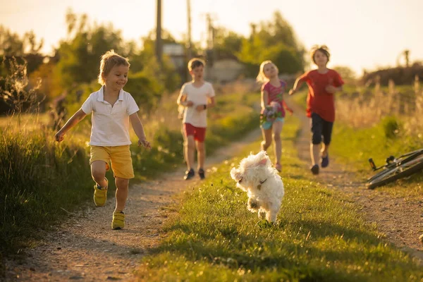 Ευτυχισμένη Ομάδα Παιδιών Και Σκύλων Συντροφιάς Μαλτέζικη Φυλή Τρέχει Στο — Φωτογραφία Αρχείου