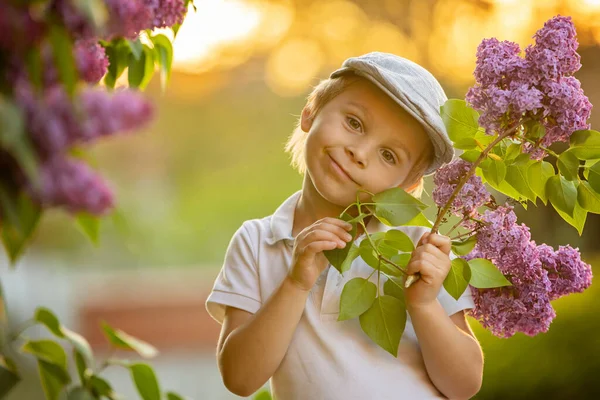 Stylish Preshcool Child Cute Boy Enjoying Lilac Flowers Bush Blooming — Stock Photo, Image