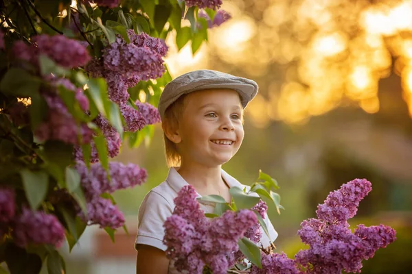 Stylish Preshcool Child Cute Boy Enjoying Lilac Flowers Bush Blooming — Foto Stock