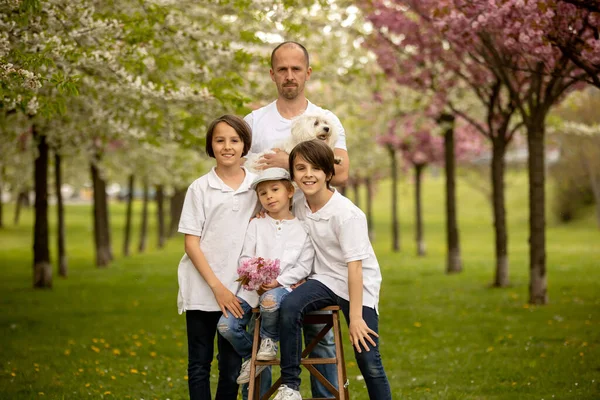 Gyönyörű Család Gyerekekkel Anya Apa Három Fiú Egy Kutya Együtt — Stock Fotó