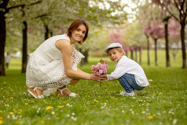 Beautiful Family Kids Mom Dad Three Boys Dog Playing Park — Stock Photo, Image