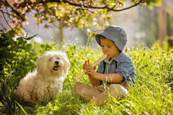 Criança Elegantemente Vestida Menino Com Cachorro Estimação Tocando Parque Flauta — Fotografia de Stock