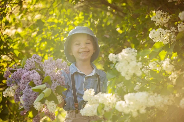 Stylish Preshcool Child Cute Boy Enjoying Lilac Flowers Bush Blooming — Stock Fotó