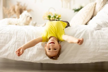 Evcil köpeğiyle birlikte evde yatakta oynayan sevimli bir anaokulu çocuğu.