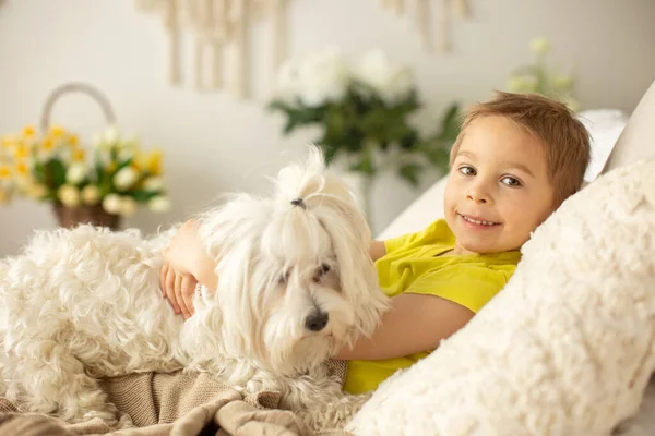 Söt Liten Förskola Pojke Med Sin Hund Leka Tillsammans Sängen — Stockfoto